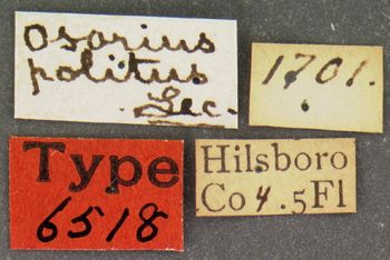 Media type: image;   Entomology 6518 Aspect: labels